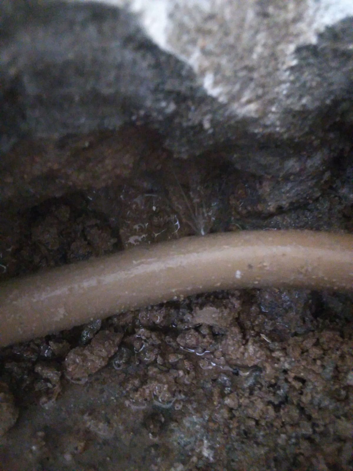 Plumbing_013