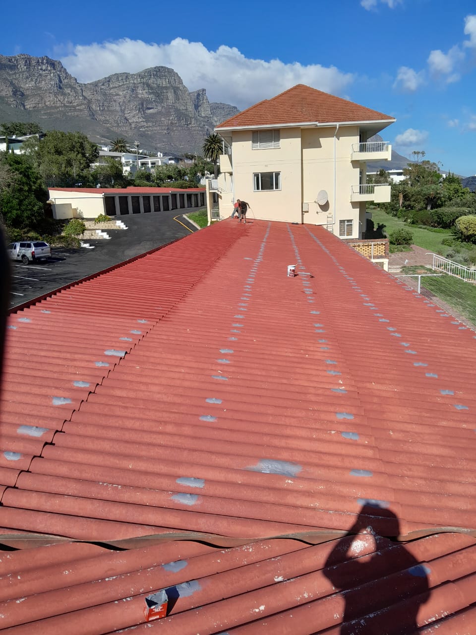 Waterproofing_Painting_035