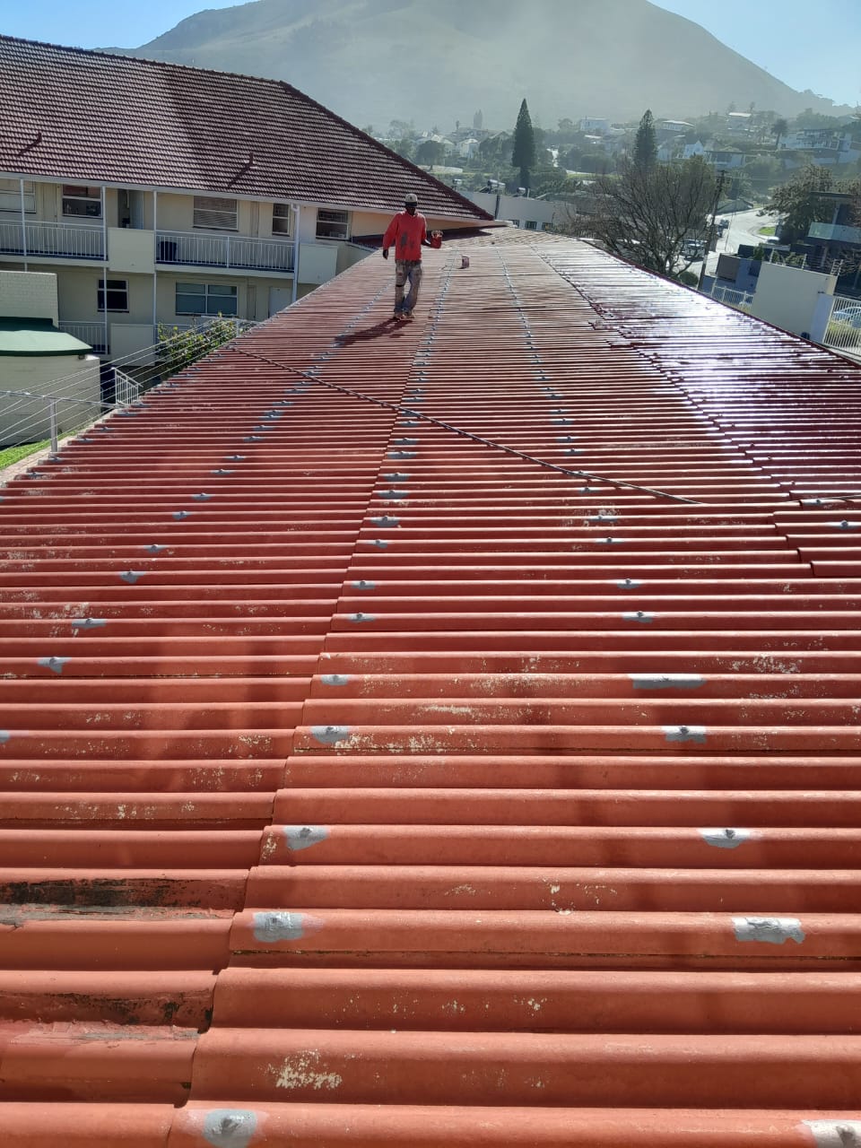 Waterproofing_Painting_036